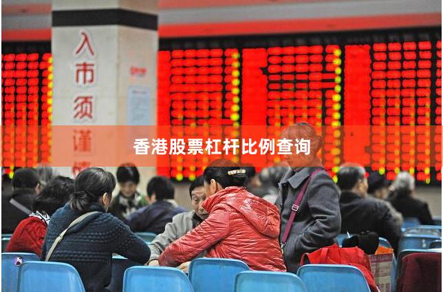 香港股票杠杆比例查询